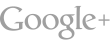 Google+
